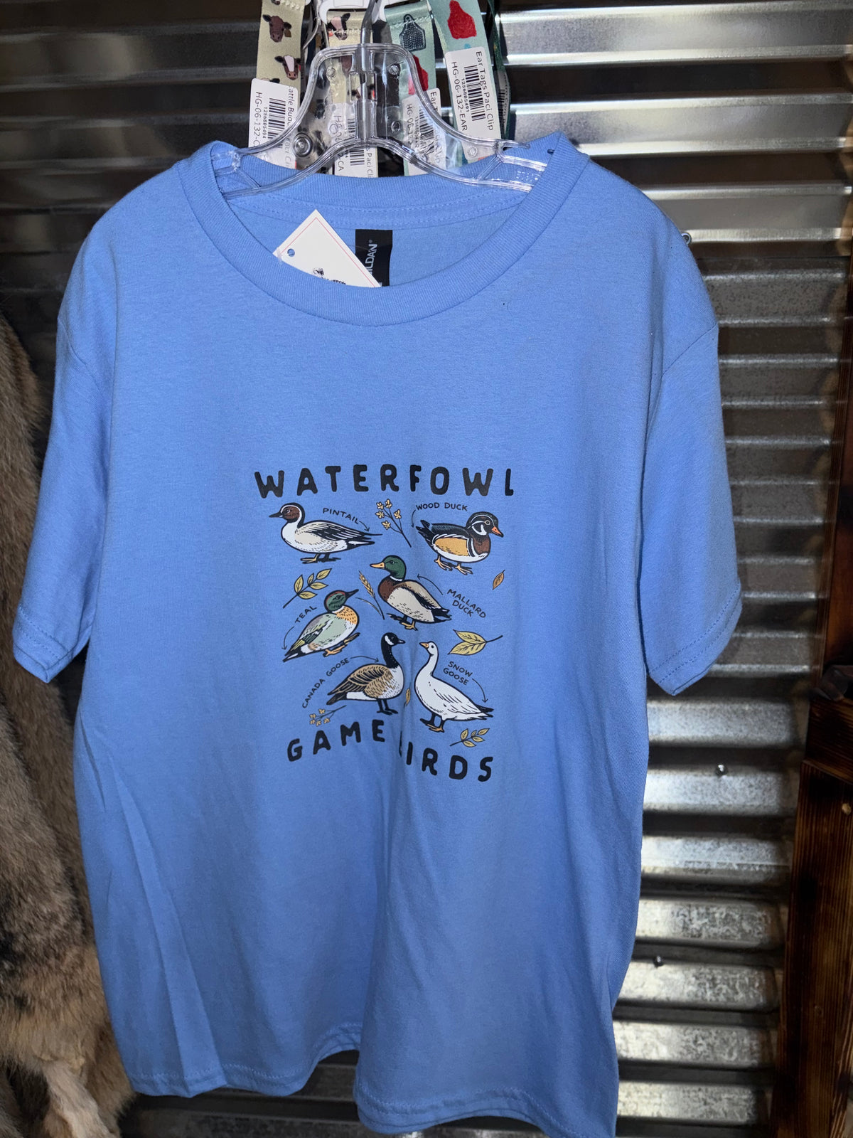 Waterfowl Game Birds