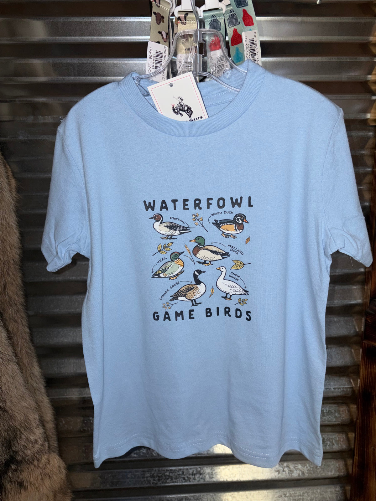 Waterfowl Game Birds