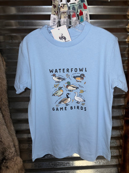 Waterfowl Game Birds